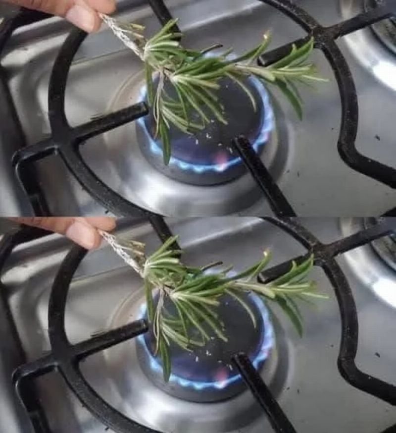 Imagem da Receita